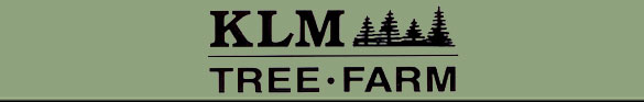 klm tree farm